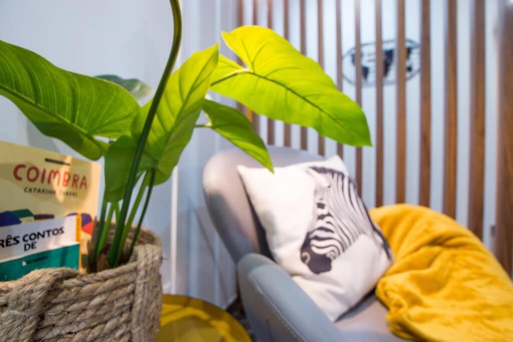 Modern Apartment In Coimbra City Center Bagian luar foto
